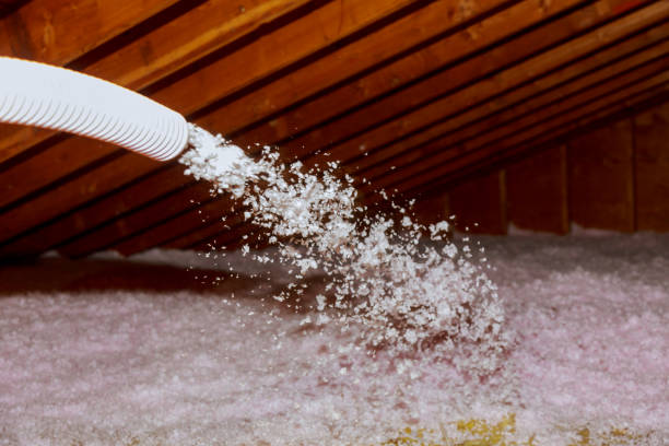 Best Insulation Installation Services in Waterflow, NM